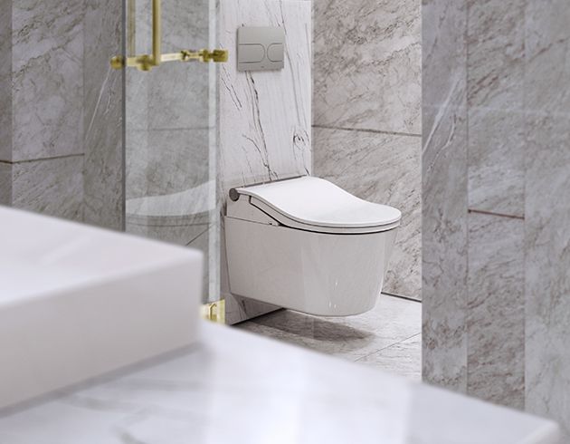 TOTO Washlet RW Set